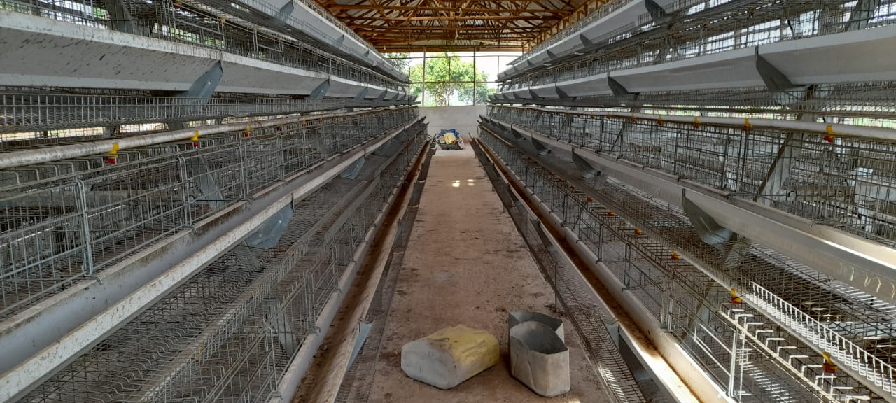 2000 Chicken Capacity Poultry Farm For Sale In Gayaza Kijjabijo Half