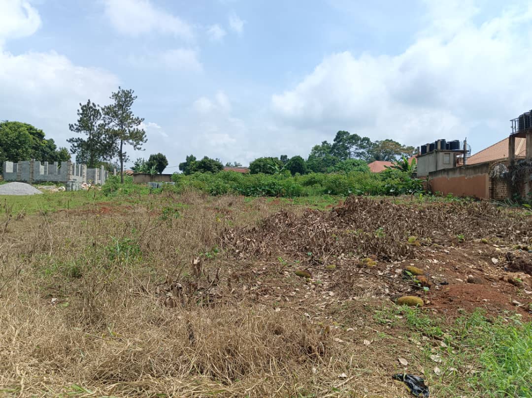 50x100ft Plot Of Land For Sale In Seeta Bajjo At 45m Shillings Uganda 