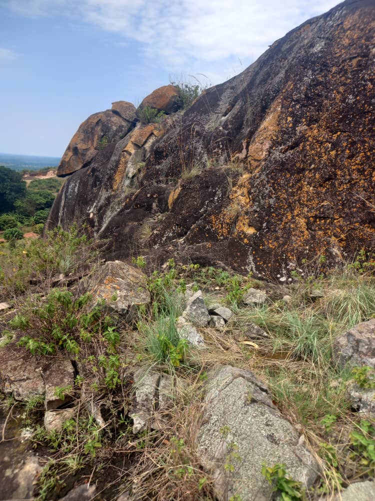 70 Acres Of Stone Quarry For Sale In Luwero At 65m Per Acre Uganda