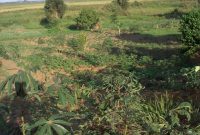 Land in Nakasongola to buy