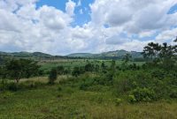 100x100ft plot of land for sale in Kira Shimoni at 110m