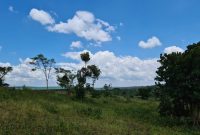 10 acres of land for sale in Mityana at 33m per acre