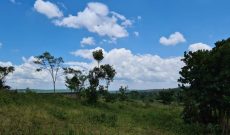 10 acres of land for sale in Mityana at 33m per acre