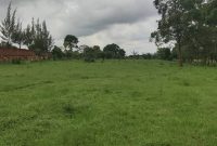 77 acres of land for sale in Wakiso at 90m per acre