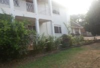 House for rent in Muyenga