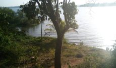 Land for sale in Entebbe