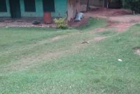 land for sale in Kireka Kamuli near Mawanda gardens