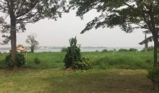 1.25 acres of land for sale in Bunga Kawuku