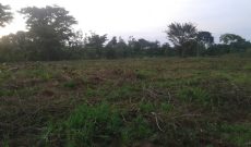 Farm Land for sale in Zirobwe
