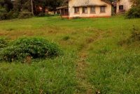 Land for sale in Entebbe