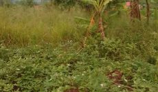 farmland for sale in Busabaga Buikwe at 8m per acre