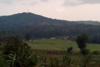Land for sale in Najjembe Jinja road at 15m per acre