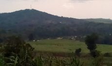 Land for sale in Najjembe Jinja road at 15m per acre