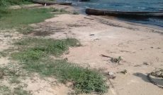 white sand beach for sale in Bukunja Mukono