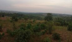 Land for sale in Mukono