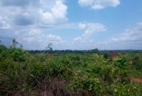 578 acres of lanf for sale in Kakoge Luwero at 1.8m per acre