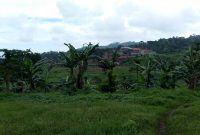 Land for sale in Namataba Jinja Road