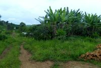 16 acres for sale in Namagunga Jinja Road 80 per acre