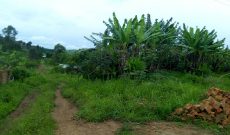 16 acres for sale in Namagunga Jinja Road 80 per acre