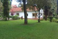 House for sale in Bugolobi on 60 decimals 650,000 usd