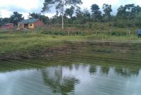 16 acre farm for sale in Nkokonjeru Mukono 350m