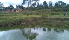 16 acre farm for sale in Nkokonjeru Mukono 350m