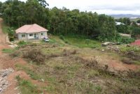 land for sale in Namugongo 100x100 ft at 100m