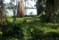 Waterfront land for sale in Bugiri 90 acres