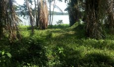 Waterfront land for sale in Bugiri 90 acres