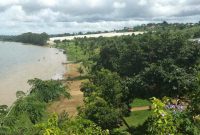 6 acres beachfront garden for sale at 200m per acre