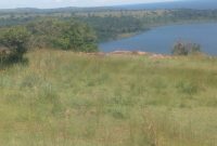 lake shore land for sale in Mukono 7m