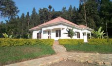 Farmland with a modern farm house for sale 8 acres 350m