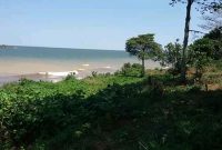 7 acres of beach front property for sale in Kasenyi at 150m per acre