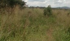 1900 acres for sale in Pabbo Amuru 500,000 /= per acre