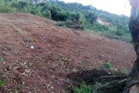 29.9 decimal plot of land for sale in Bunamwaya hill at 85m