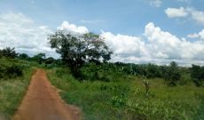 20 acres of farm land for sale in Amach Lira at 6m per acre