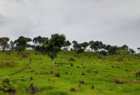 Plots for sale in Ireda Lira city beginning at 20m