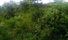 Acres of land for sale in Ngeta Lira city from 17m an acre