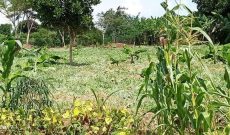 This is 3.5 acres of land for sale in Senior Quarters Lira city at 250m shillings