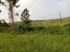 100x100-meters-of-land-for-sale-in-senior-quarters-lira-city-at-450m-shillings