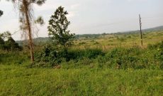 100x100 meters of land for sale in Senior Quarters Lira city at 450m shillings