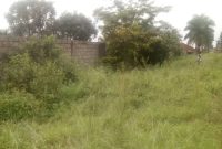200 acres of land for sale in Luwero Mazzi at 5m per acre