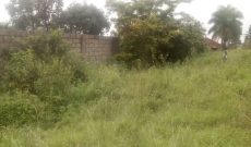 200 acres of land for sale in Luwero Mazzi at 5m per acre