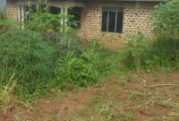 3 bedroom shell house for sale in Mukono Nabutti at 60m shillings