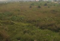 17 acres of commercial land for sale in Namanve at 200m each