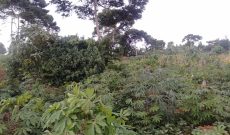 4 acres for sale in Kawuku 150m