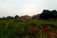 25 acres for sale in Mairikiti Nkokonjeru from 25m each