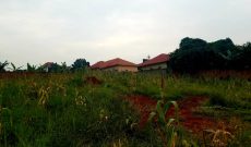 25 acres for sale in Mairikiti Nkokonjeru from 25m each