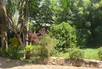 This is 50 decimals plot of land for sale in Kololo at 680,000 USD
