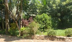 This is 50 decimals plot of land for sale in Kololo at 680,000 USD